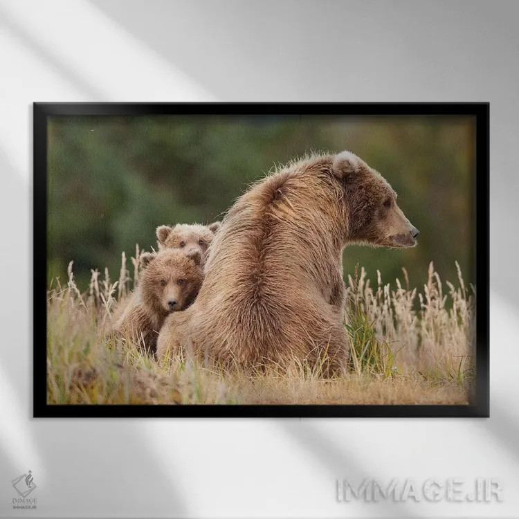 تابلو خرس گریزلی ساحلی با تولههایش در هالو بی، پارک ملی کاتمای آلاسکا اثر دیزاین پیکس - نمای قابدار مشکی