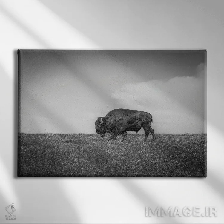 تابلو آخرین بیزون اثر دن اسپرول - نمای روبهرو روی دیوار