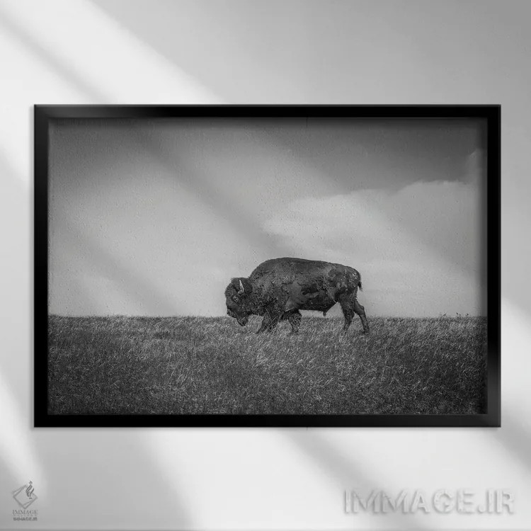 تابلو آخرین بیزون اثر دن اسپرول - نمای قابدار مشکی