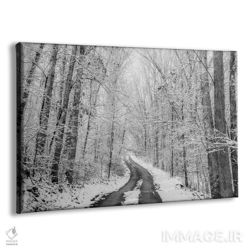 تابلو جاده روستایی زمستانی اثر دن اسپرول - نمای پرسپکتیو محصول