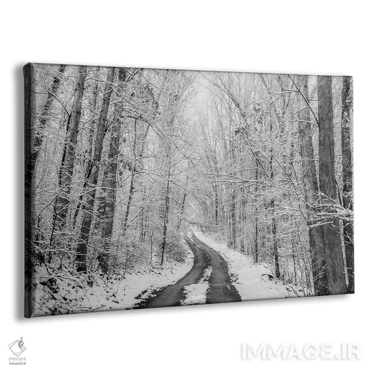 تابلو جاده روستایی زمستانی اثر دن اسپرول - نمای پرسپکتیو محصول