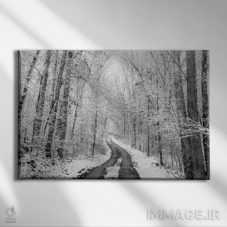 تابلو جاده روستایی زمستانی اثر دن اسپرول - نمای روبهرو روی دیوار