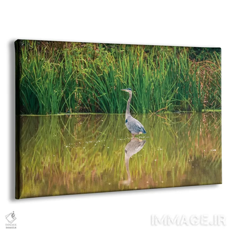 تابلو انعکاس ماهیخور آبی اثر دن اسپرول - نمای پرسپکتیو محصول