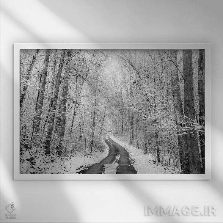 تابلو جاده روستایی زمستانی اثر دن اسپرول - نمای قابدار سفید