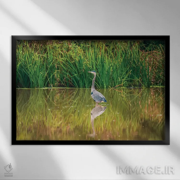 تابلو انعکاس ماهیخور آبی اثر دن اسپرول - نمای قابدار مشکی