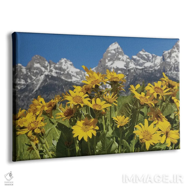 تابلو گلهای وحشی تتون اثر دن اسپرول - نمای پرسپکتیو محصول