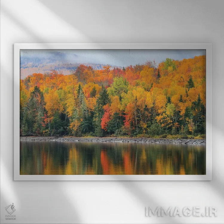 تابلو انعکاسهای پاییزی اثر دن اسپرول - نمای قابدار سفید