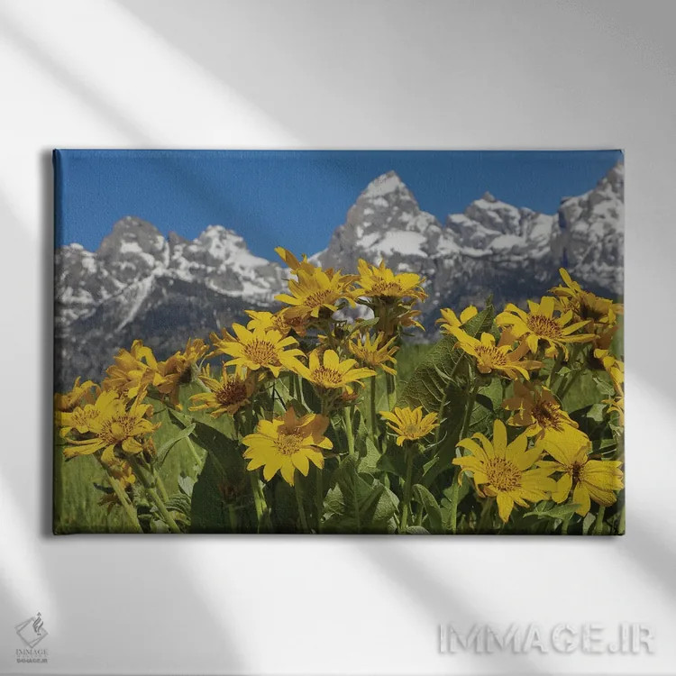 تابلو گلهای وحشی تتون اثر دن اسپرول - نمای روبهرو روی دیوار