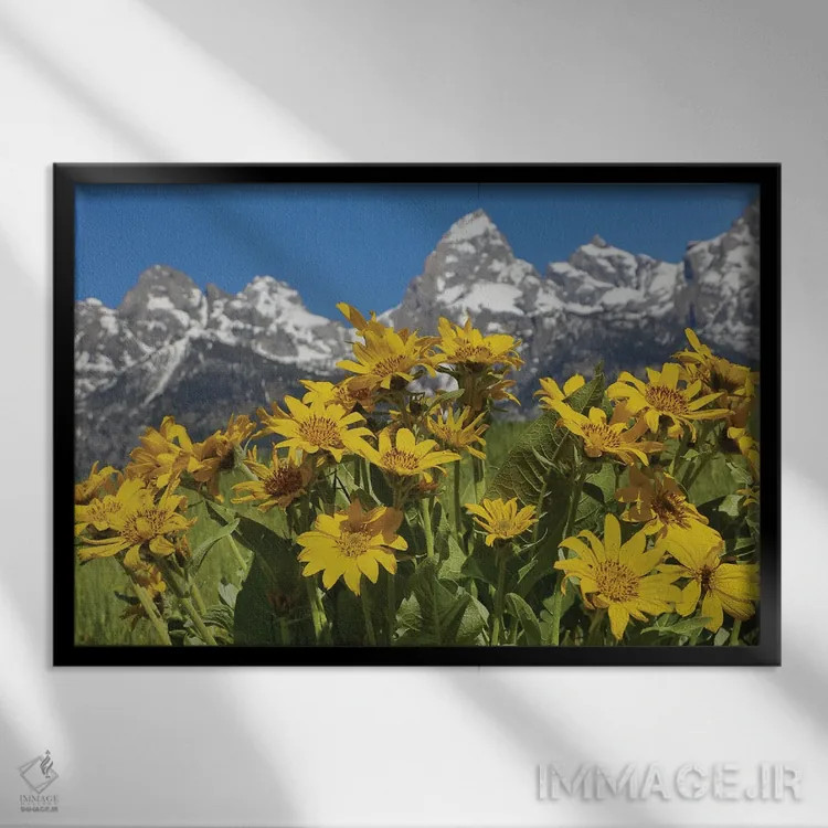 تابلو گلهای وحشی تتون اثر دن اسپرول - نمای قابدار مشکی