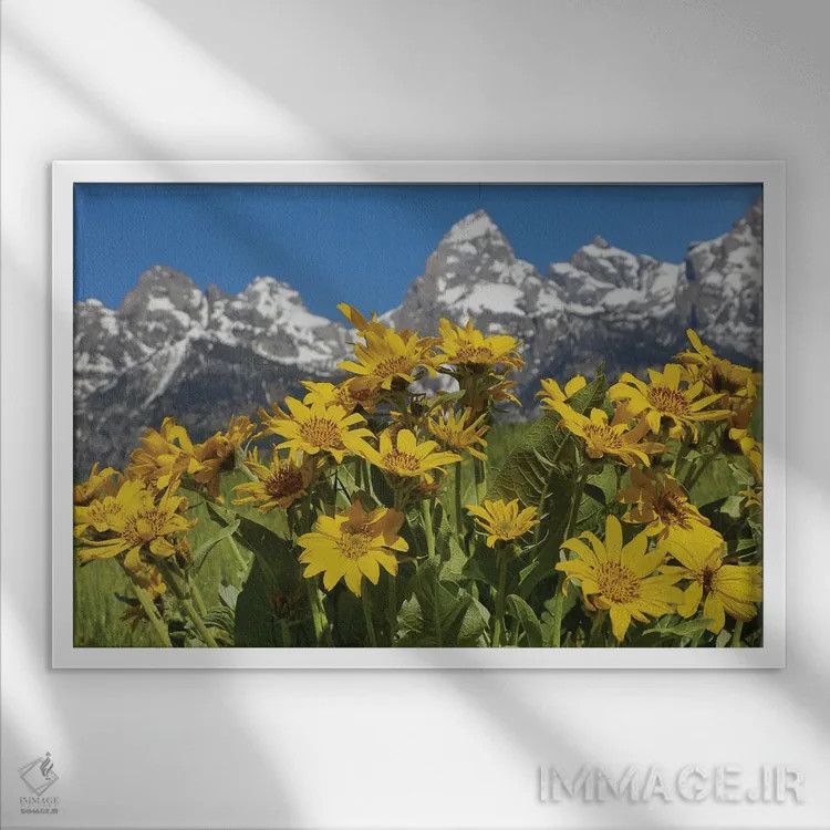 تابلو گلهای وحشی تتون اثر دن اسپرول - نمای قابدار سفید