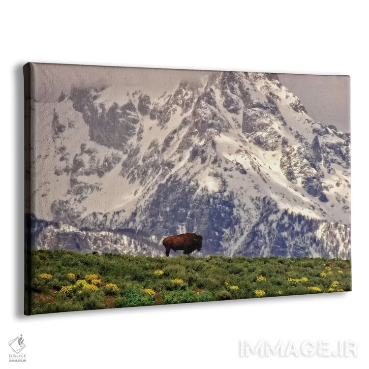 تابلو بیزون کوهستانی اثر دن اسپرول - نمای پرسپکتیو محصول