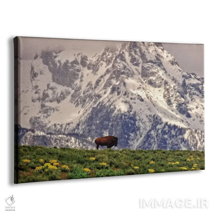 تابلو بیزون کوهستانی اثر دن اسپرول - نمای پرسپکتیو محصول