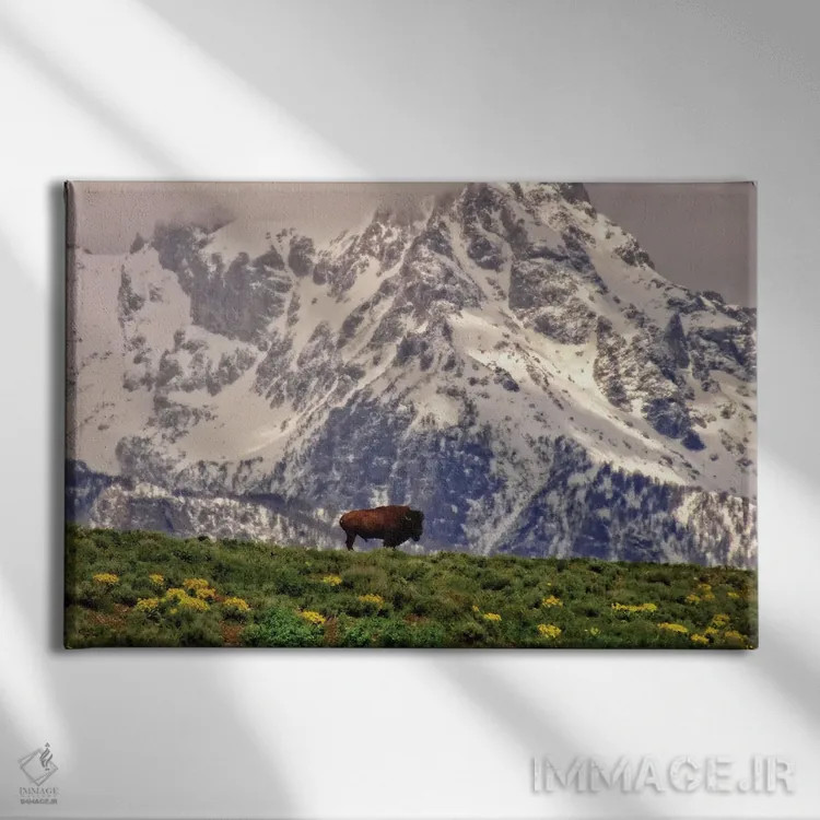 تابلو بیزون کوهستانی اثر دن اسپرول - نمای روبهرو روی دیوار