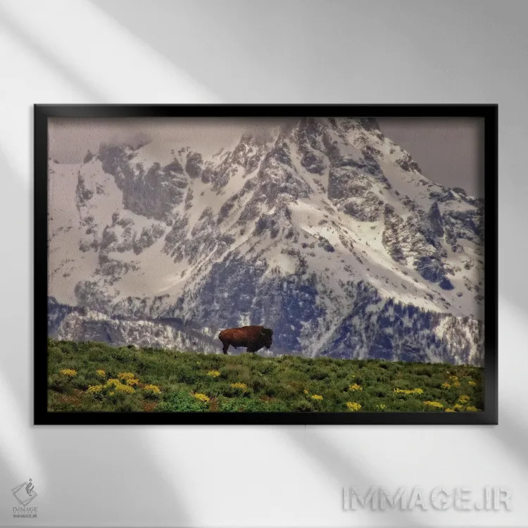 تابلو بیزون کوهستانی اثر دن اسپرول - نمای قابدار مشکی
