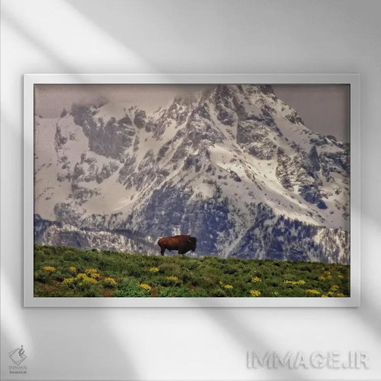 تابلو بیزون کوهستانی اثر دن اسپرول - نمای قابدار سفید