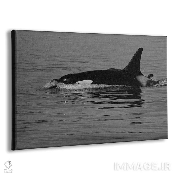 تابلو نهنگ قاتل و بچهاش اثر دن اسپرول - نمای پرسپکتیو محصول