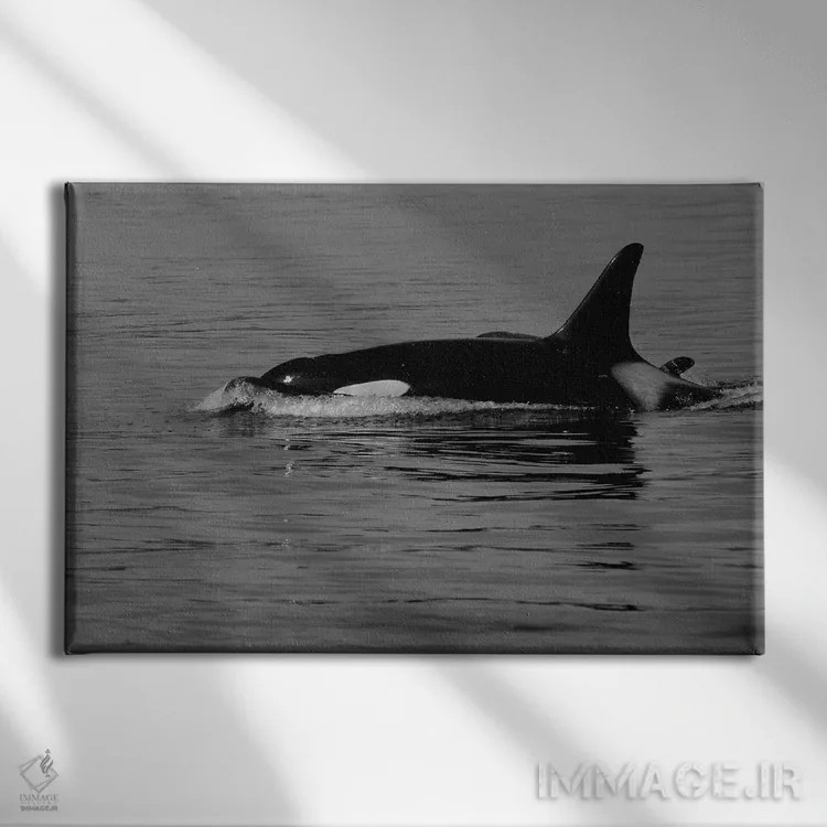 تابلو نهنگ قاتل و بچهاش اثر دن اسپرول - نمای روبهرو روی دیوار