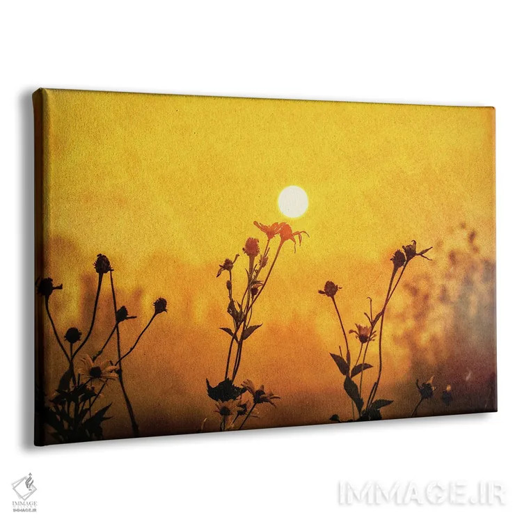 تابلو دشت طلوع اثر دن اسپرول - نمای پرسپکتیو محصول