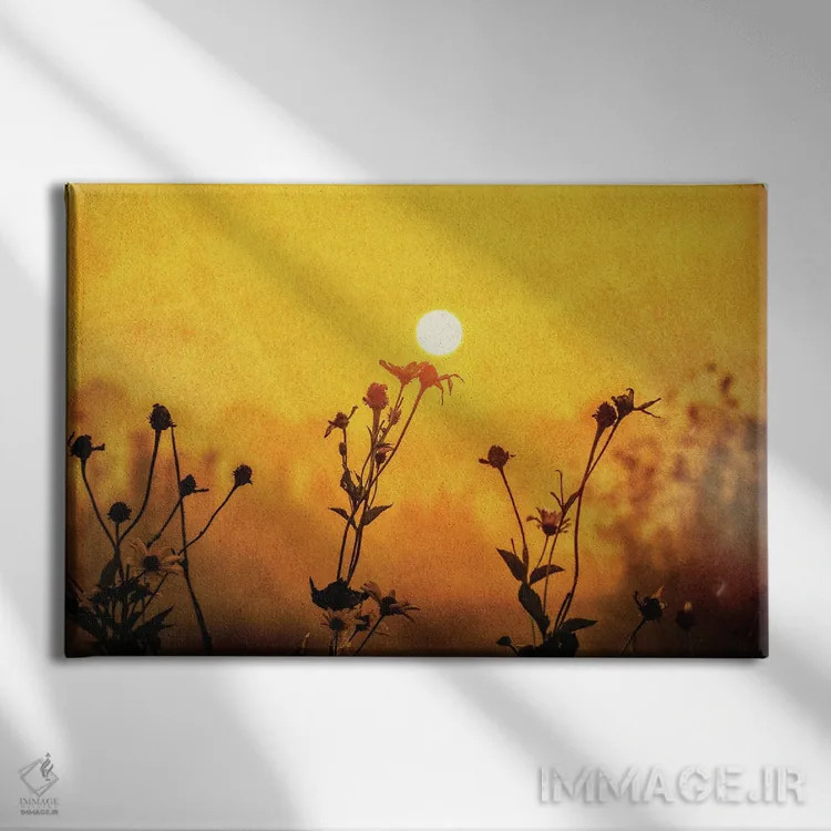 تابلو دشت طلوع اثر دن اسپرول - نمای روبهرو روی دیوار