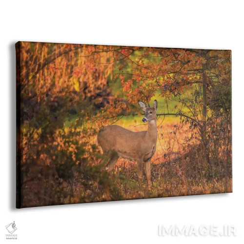 تابلو آهو در پاییز اثر دن اسپرول - نمای پرسپکتیو محصول