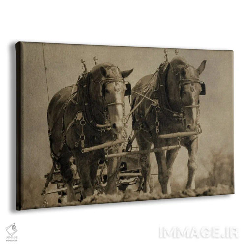 تابلو اسبهای کار اثر دن اسپرول - نمای پرسپکتیو محصول