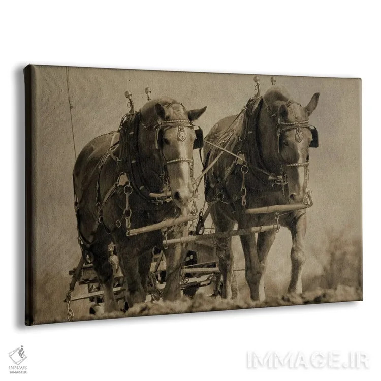 تابلو اسبهای کار اثر دن اسپرول - نمای پرسپکتیو محصول