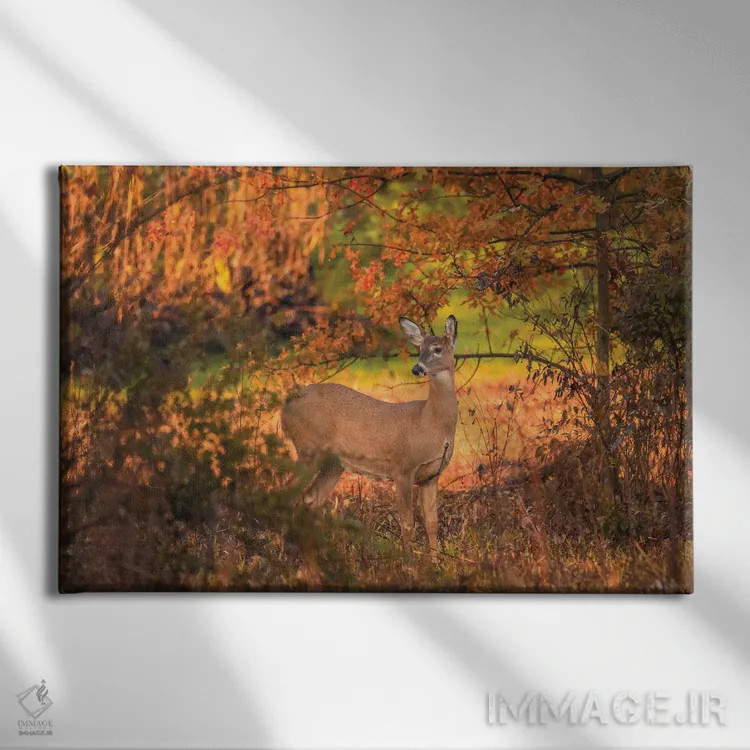 تابلو آهو در پاییز اثر دن اسپرول - نمای روبهرو روی دیوار