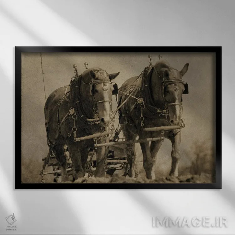 تابلو اسبهای کار اثر دن اسپرول - نمای قابدار مشکی