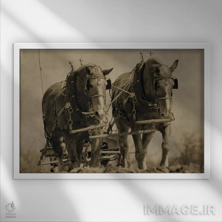 تابلو اسبهای کار اثر دن اسپرول - نمای قابدار سفید