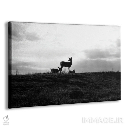 تابلو سیلوئت گوزن (سیاه و سفید) اثر دن اسپرول - نمای پرسپکتیو محصول