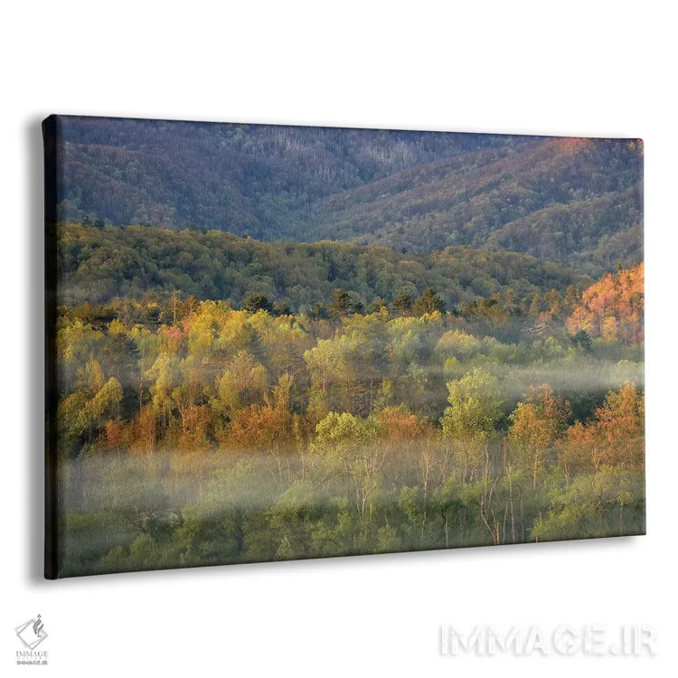 تابلو پانورامای جنگل پاییزی مهآلود اثر دن اسپرول - نمای پرسپکتیو محصول