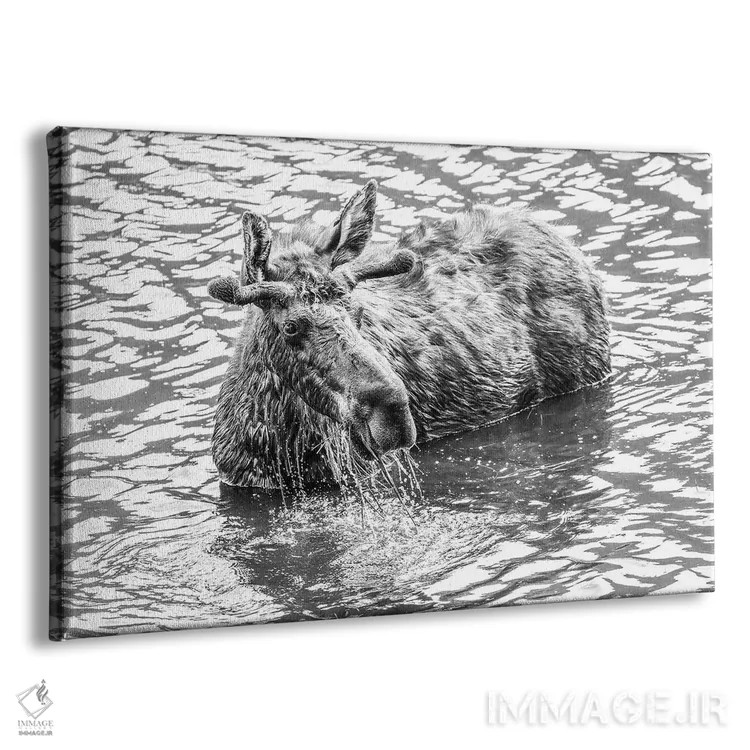 تابلو گوزن در حال پاشیدن آب در دریاچه اثر دن اسپرول - نمای پرسپکتیو محصول