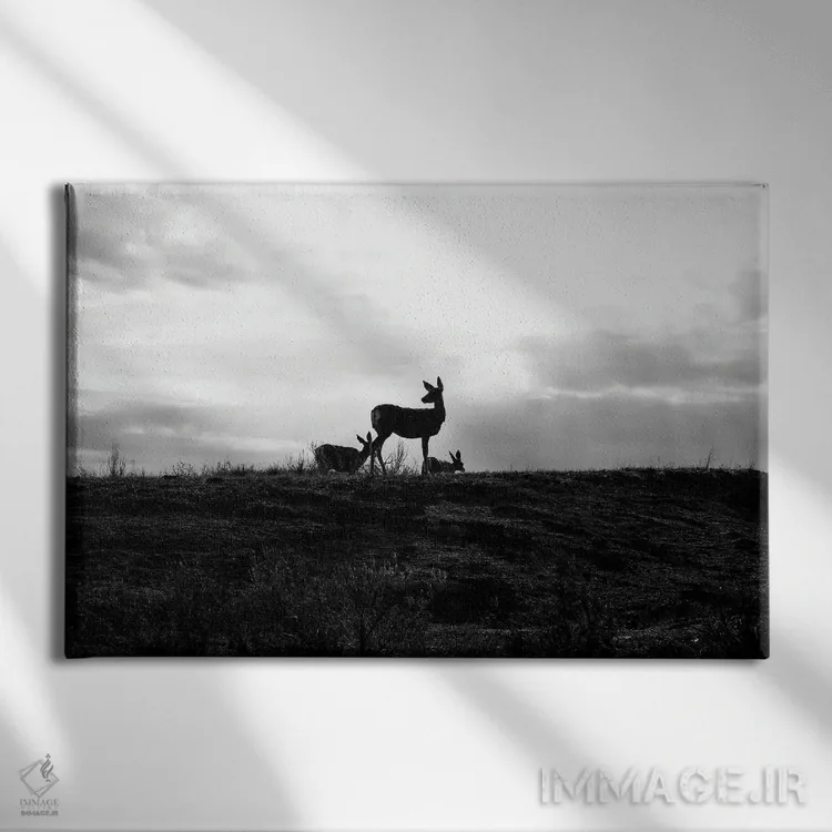 تابلو سیلوئت گوزن (سیاه و سفید) اثر دن اسپرول - نمای روبهرو روی دیوار