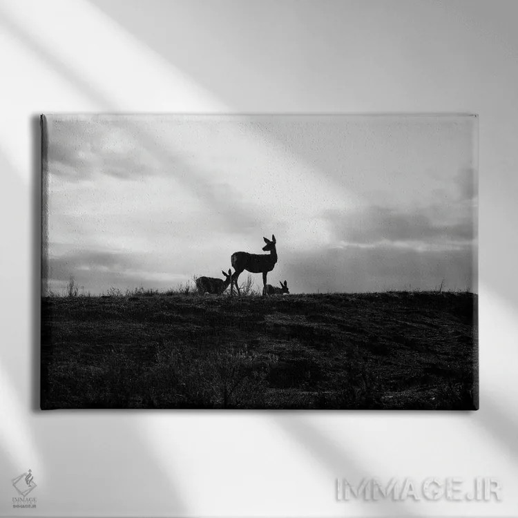 تابلو سیلوئت گوزن (سیاه و سفید) اثر دن اسپرول - نمای روبهرو روی دیوار