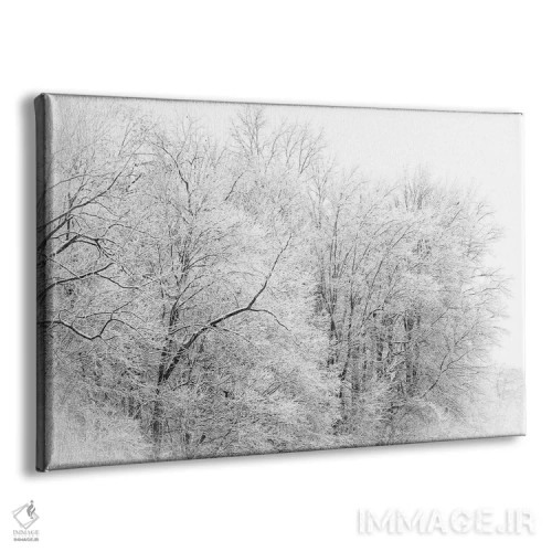 تابلو جنگل زمستانی اثر دن اسپرول - نمای پرسپکتیو محصول