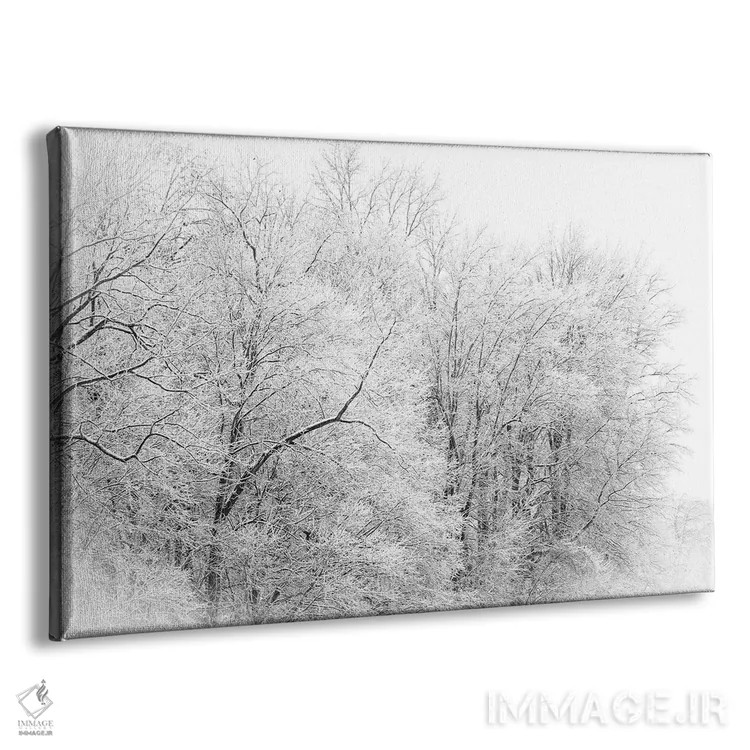 تابلو جنگل زمستانی اثر دن اسپرول - نمای پرسپکتیو محصول