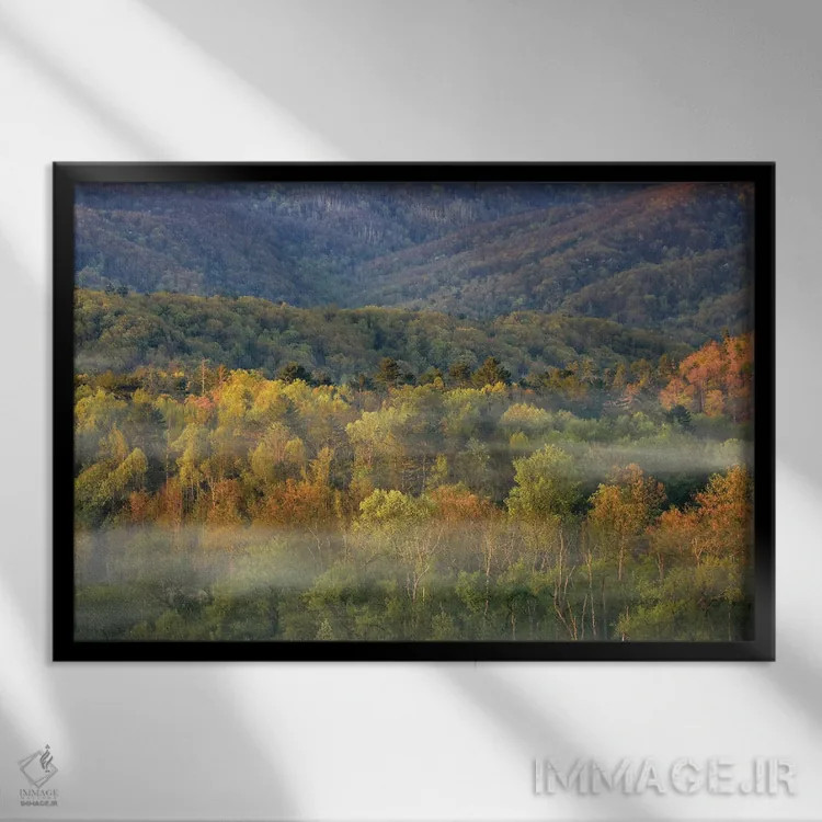 تابلو پانورامای جنگل پاییزی مهآلود اثر دن اسپرول - نمای قابدار مشکی