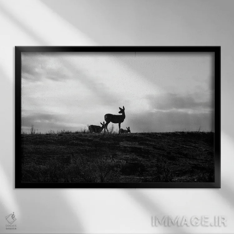 تابلو سیلوئت گوزن (سیاه و سفید) اثر دن اسپرول - نمای قابدار مشکی