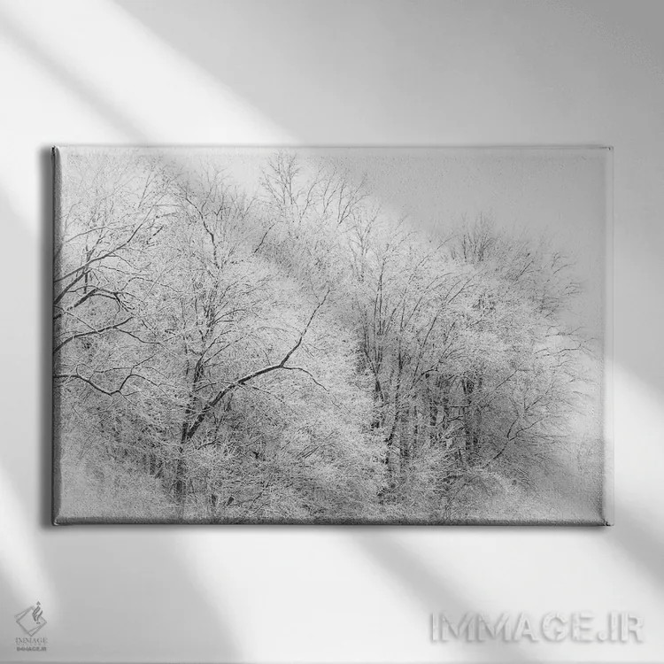تابلو جنگل زمستانی اثر دن اسپرول - نمای روبهرو روی دیوار