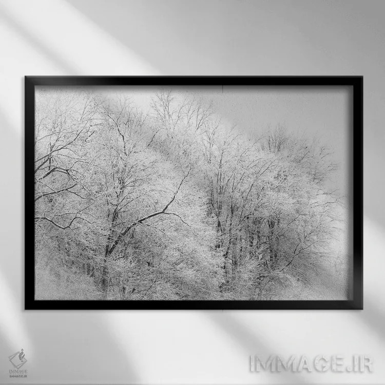تابلو جنگل زمستانی اثر دن اسپرول - نمای قابدار مشکی