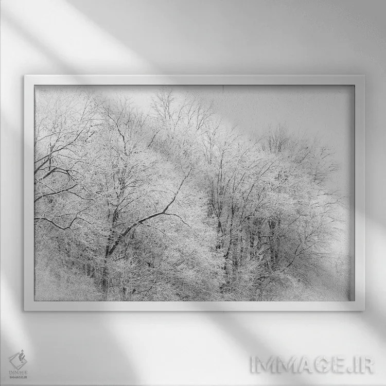 تابلو جنگل زمستانی اثر دن اسپرول - نمای قابدار سفید