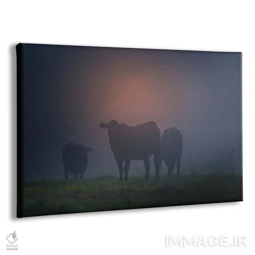 تابلو سیلوئت گاوها اثر دن اسپرول - نمای پرسپکتیو محصول