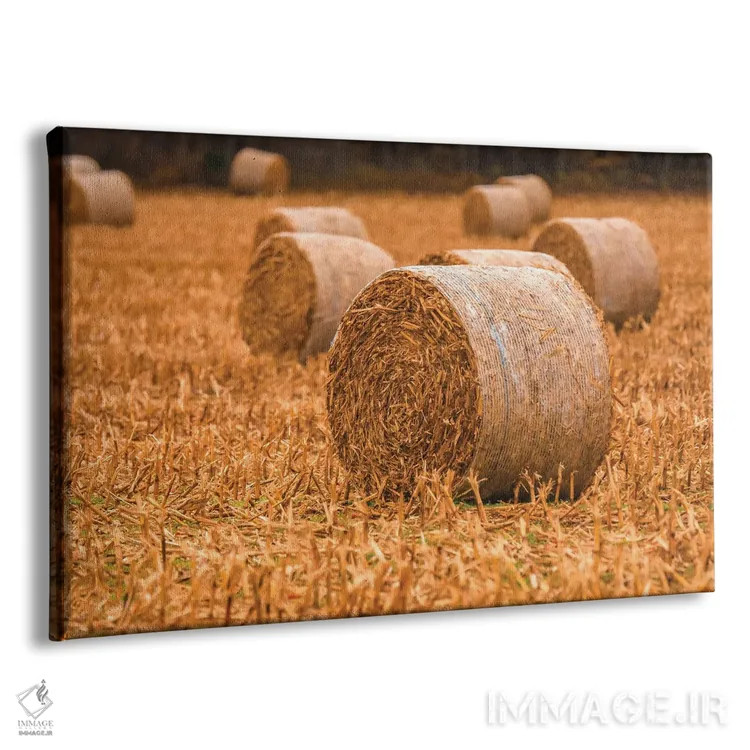 تابلو کاهغلتی روی مزرعه اثر دن اسپرول - نمای پرسپکتیو محصول