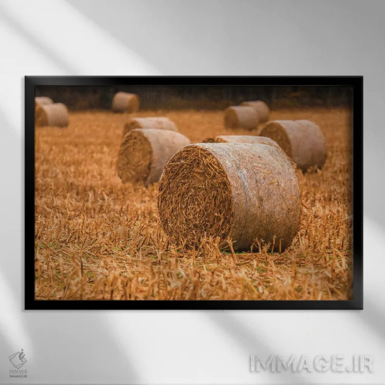 تابلو کاهغلتی روی مزرعه اثر دن اسپرول - نمای قابدار مشکی