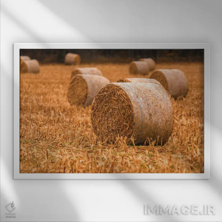 تابلو کاهغلتی روی مزرعه اثر دن اسپرول - نمای قابدار سفید