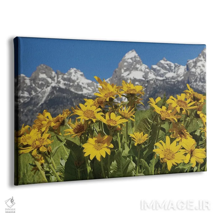 تابلو گلهای وحشی گرند تتون اثر دن اسپرول - نمای پرسپکتیو محصول