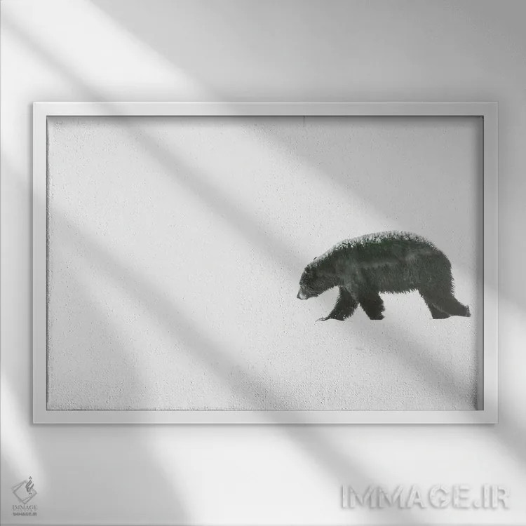 تابلو خرس مینیمال اثر دن اسپرول - نمای قابدار سفید