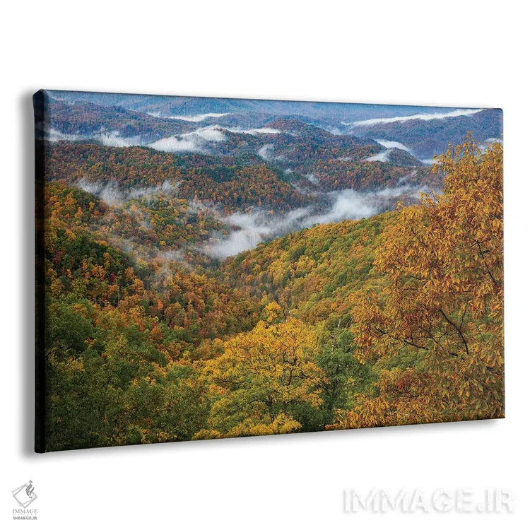 تابلو رنگهای پاییزی و مه برخواسته در اسموکیها اثر دن اسپرول - نمای پرسپکتیو محصول