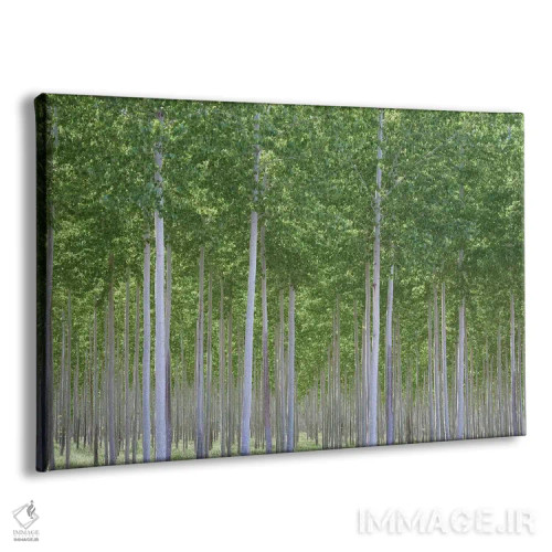 تابلو دره پریان اثر داتلیش - نمای پرسپکتیو محصول