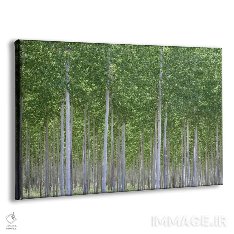 تابلو دره پریان اثر داتلیش - نمای پرسپکتیو محصول